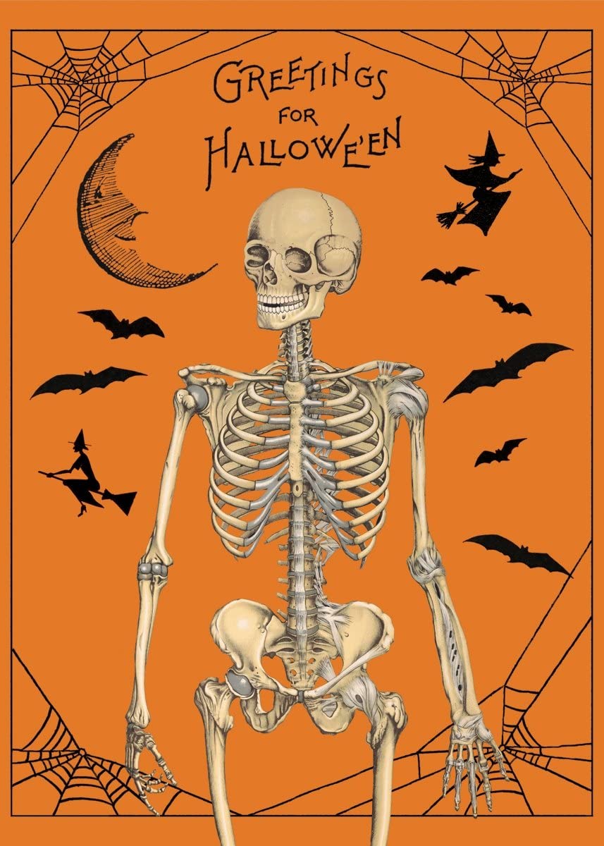 Poster - Halloween Greetings Skeleton - Birch Hill Studio