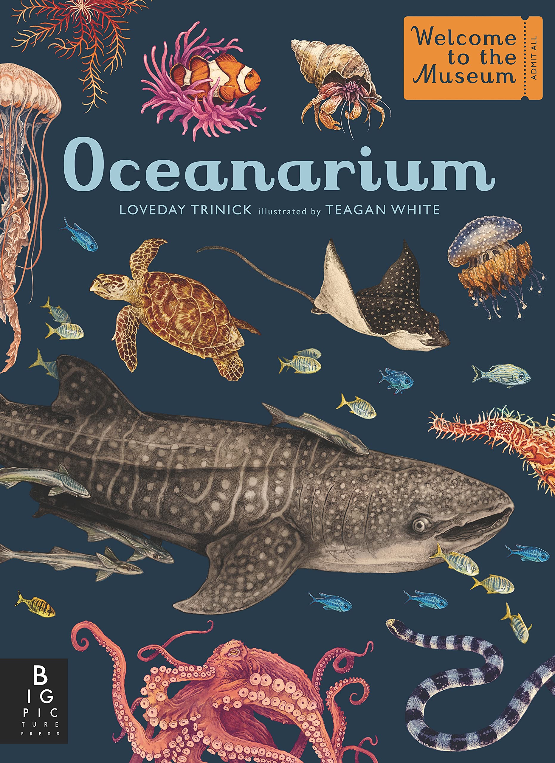 Oceanarium - Birch Hill Studio