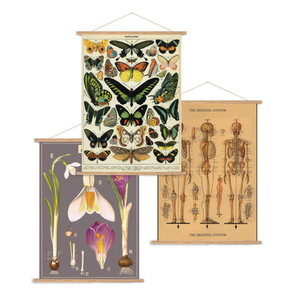 Vertical Vintage Poster Kit - Birch Hill Studio