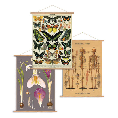 Vertical Vintage Poster Kit - Birch Hill Studio