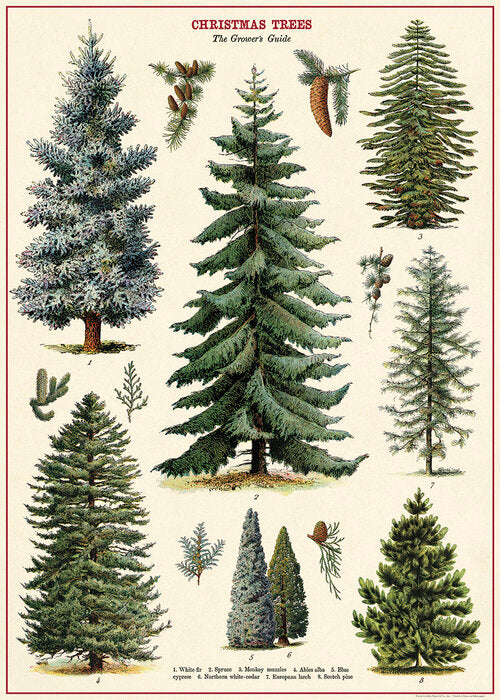Poster - Christmas Trees - Birch Hill Studio