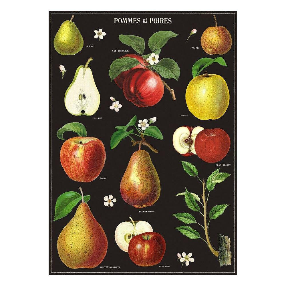 Poster - Apple & Pears - Birch Hill Studio